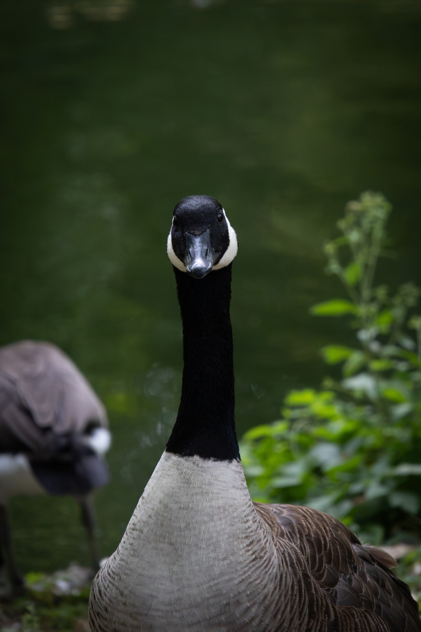 Le parc Meissonier à Poissy : pourquoi tant de photographes s'y retrouvent