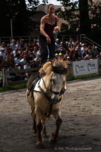 Sport & Spectacle