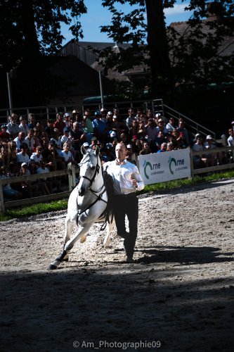 Sport & Spectacle