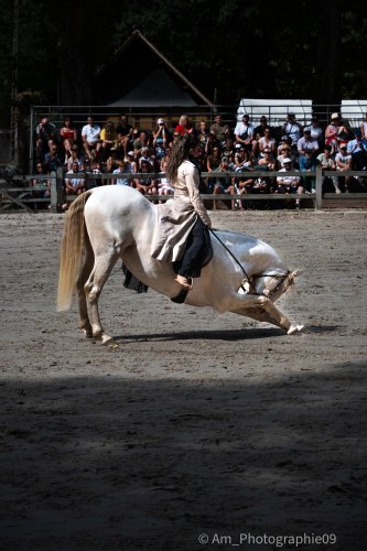 Sport & Spectacle