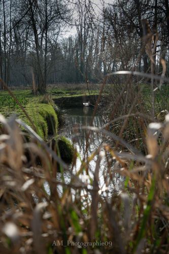 Nature Monument