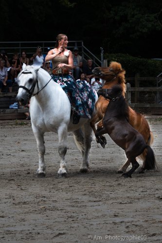 Sport & Spectacle
