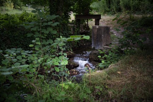 Cours d'eau