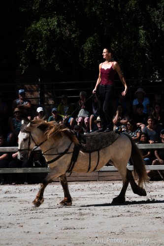 Sport & Spectacle