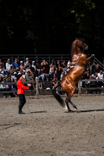 Sport & Spectacle